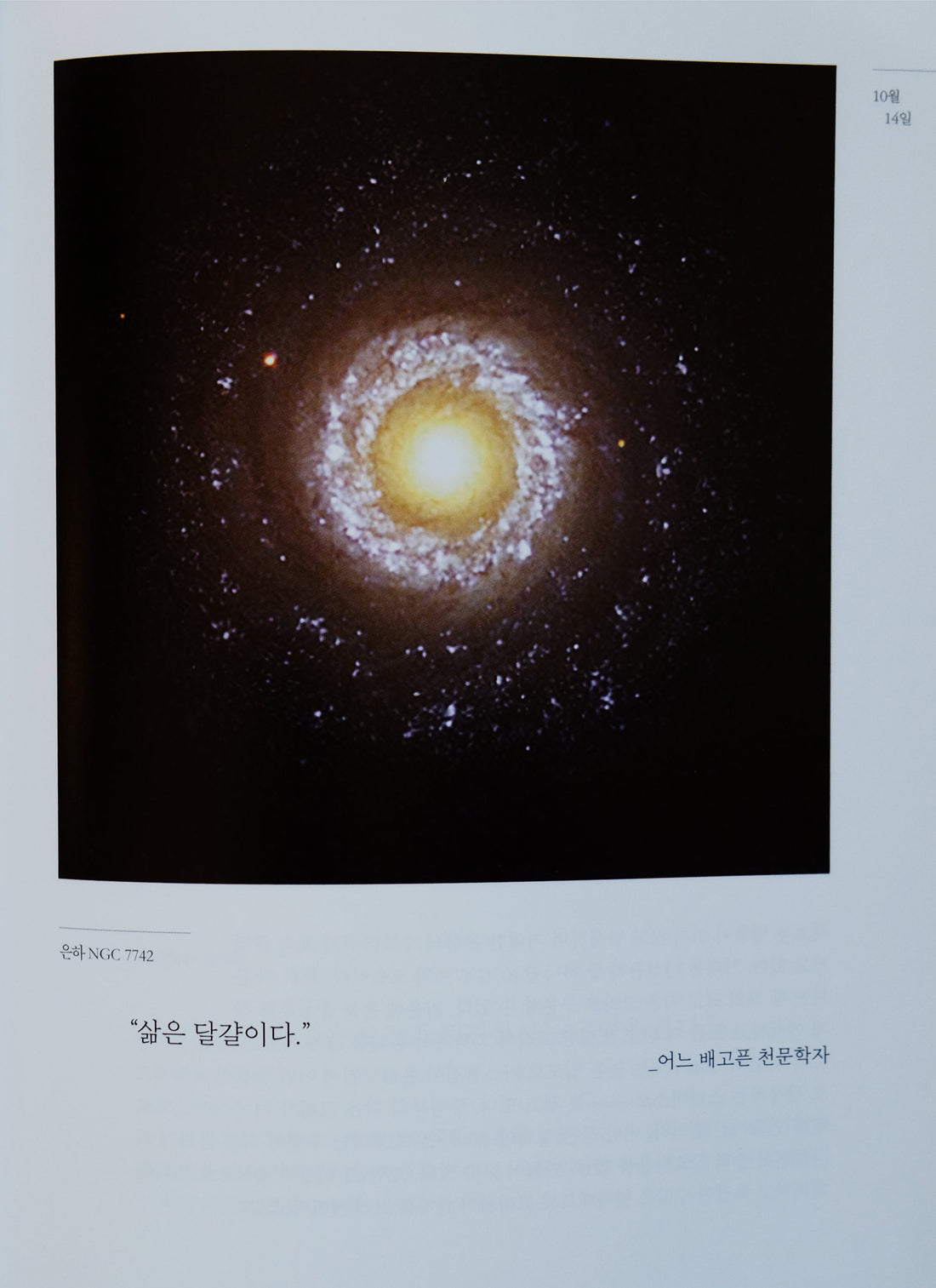 [100 Challenge] Jisook Kim_82