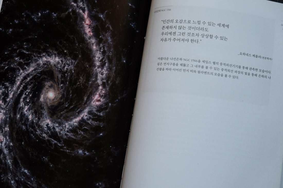 [100 Challenge] Jisook Kim_93