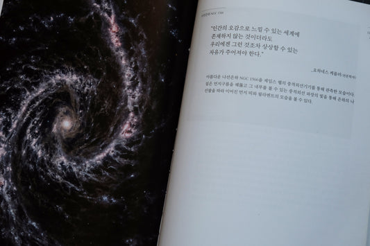 [100 Challenge] Jisook Kim_93