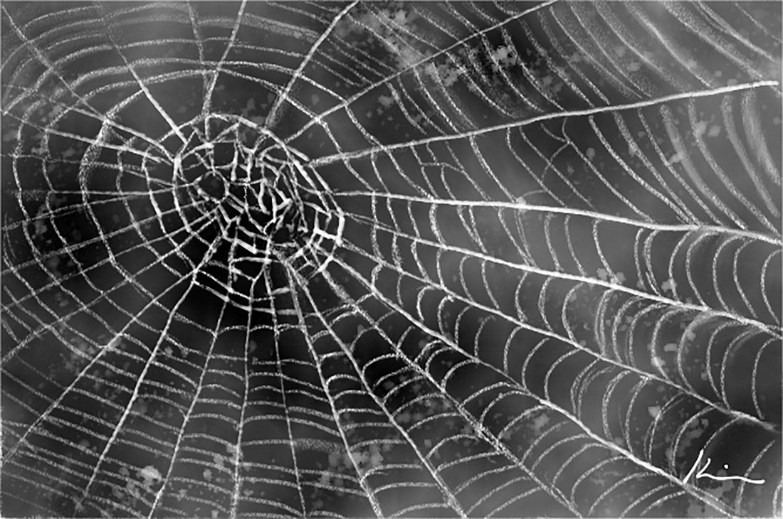 [100 Challenge] Jisook Kim_55