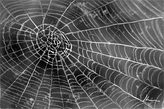 [100 Challenge] Jisook Kim_55