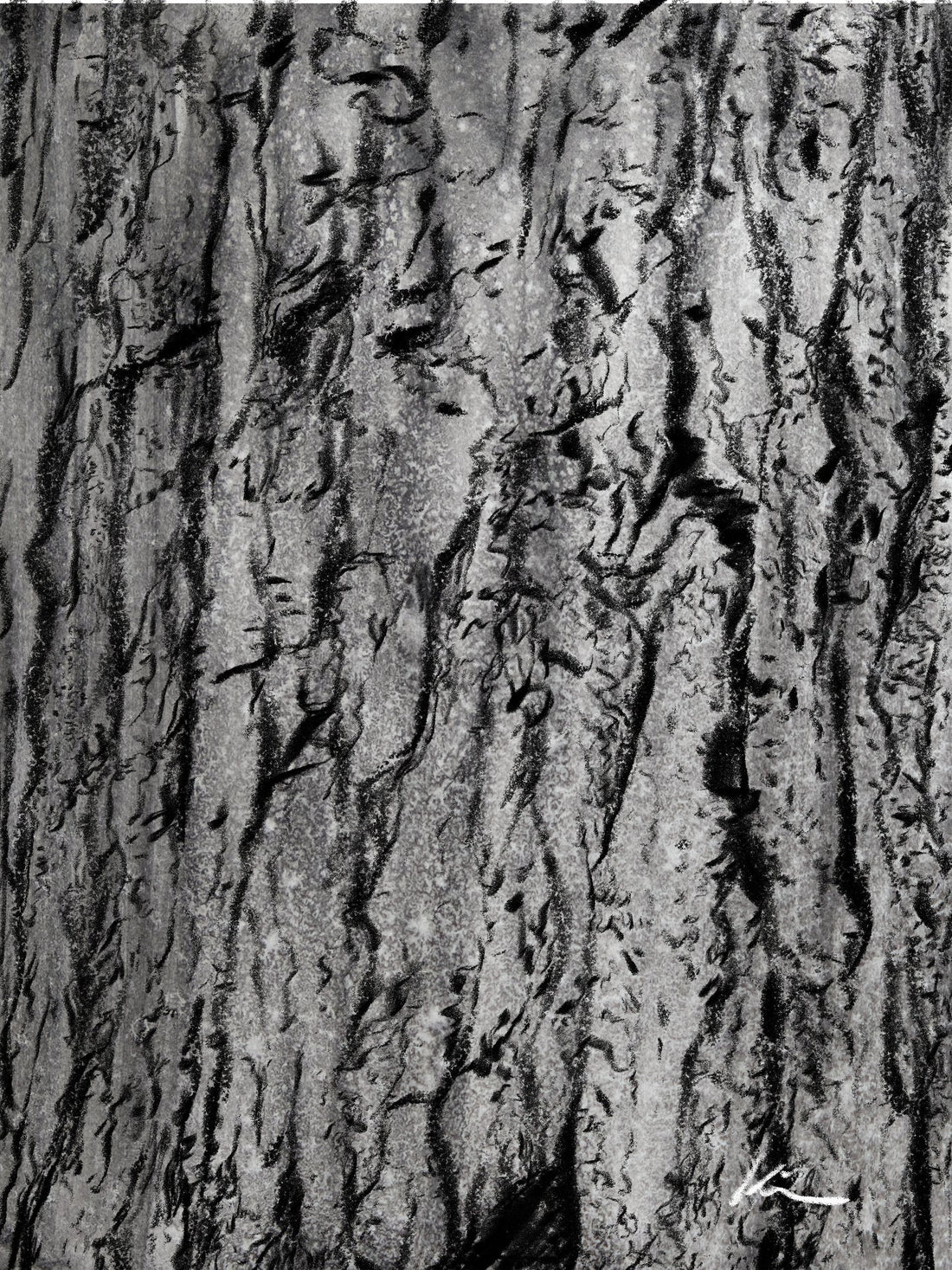 [100 Challenge] Jisook Kim_96