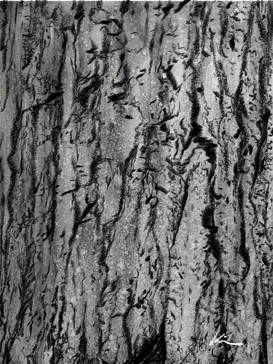 [100 Challenge] Jisook Kim_96