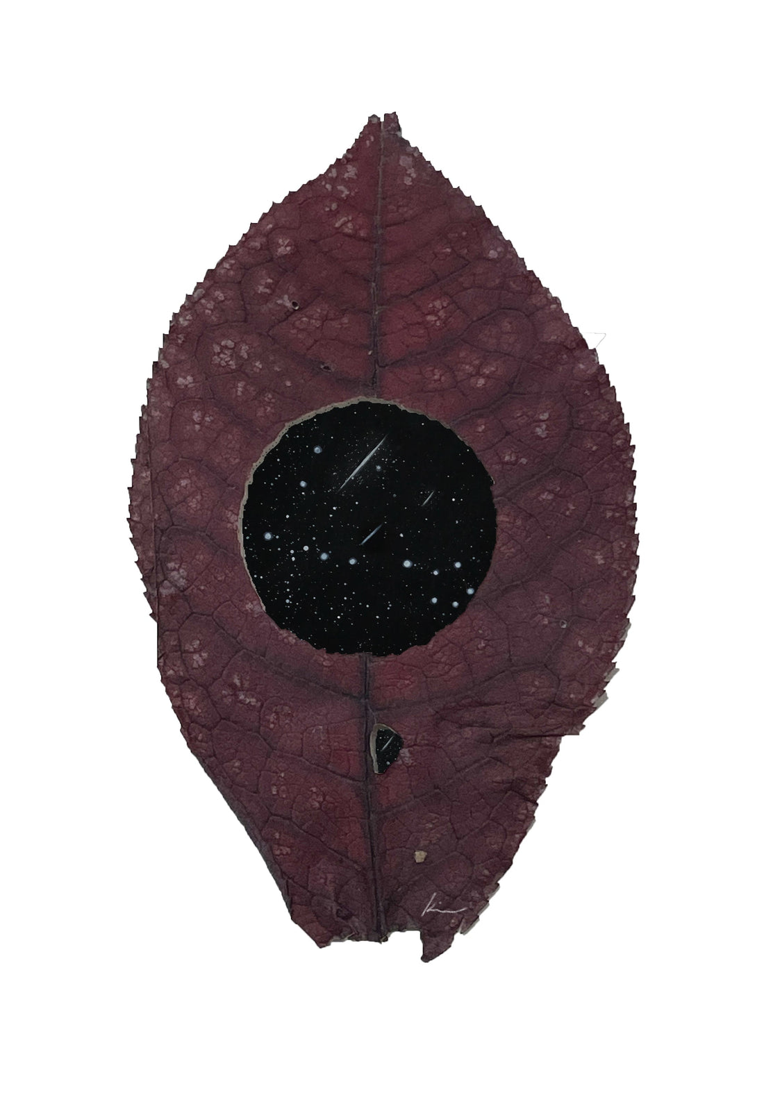 [100 Challenge] Jisook Kim_99