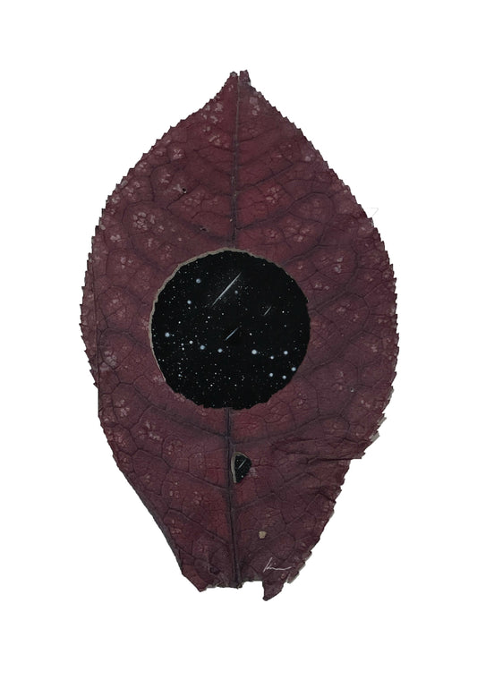 [100 Challenge] Jisook Kim_99