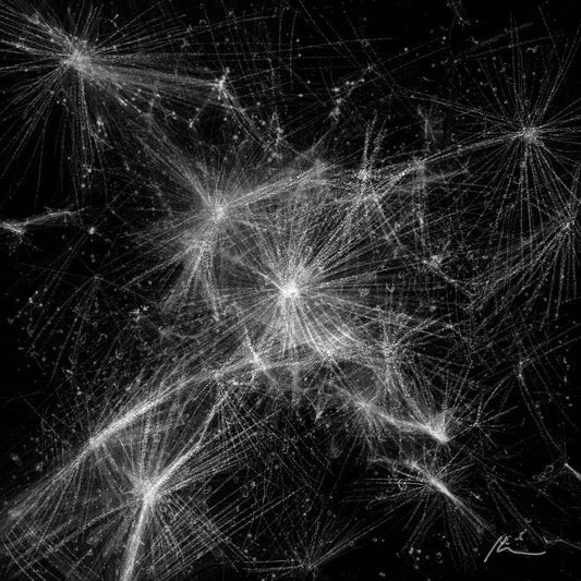 [100 Challenge] Jisook Kim_49