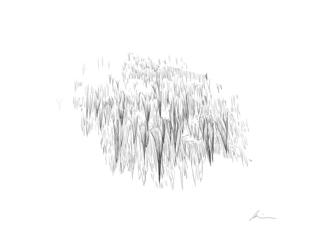 [100 Challenge] Jisook Kim_51