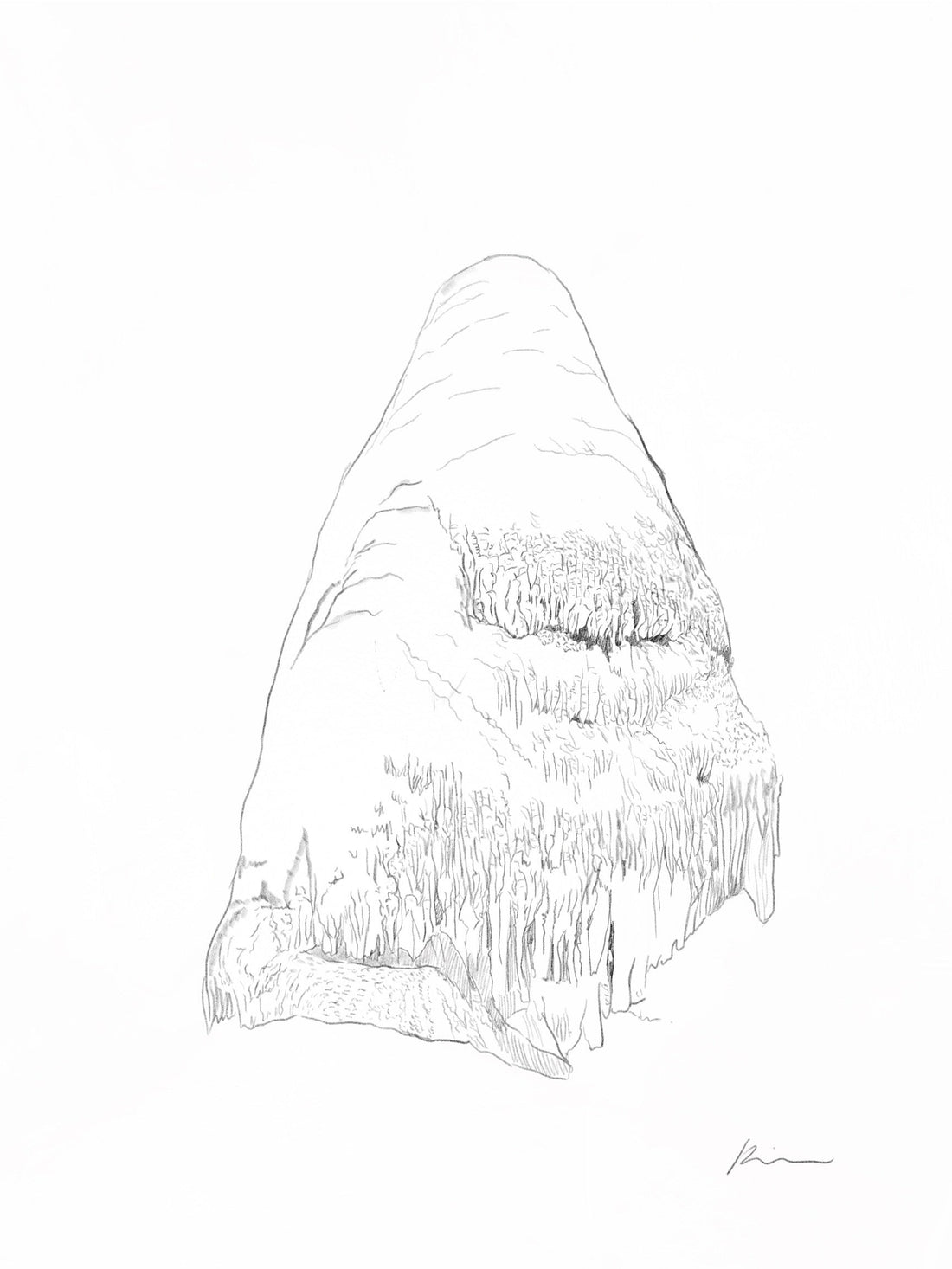 [100 Challenge] Jisook Kim_53