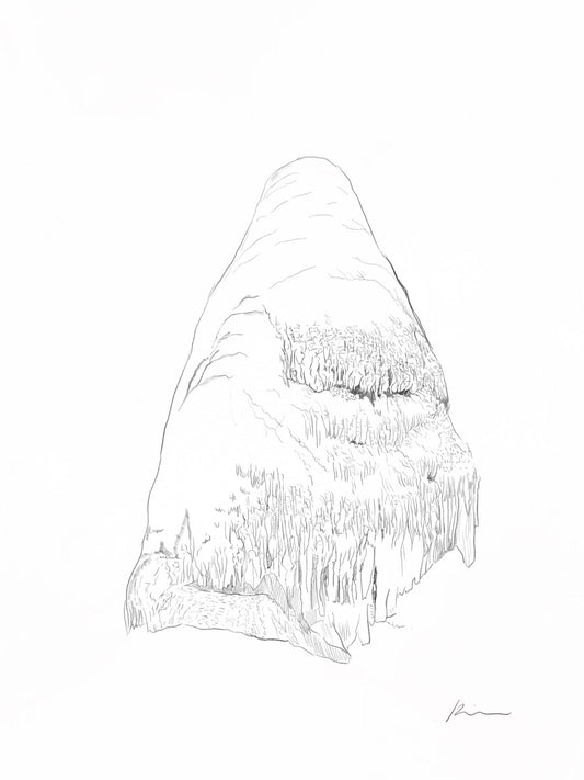 [100 Challenge] Jisook Kim_53