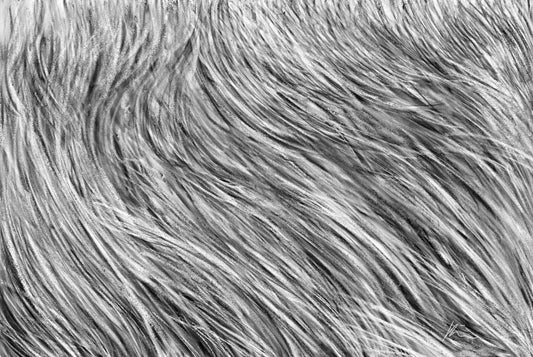 [100 Challenge] Jisook Kim_54