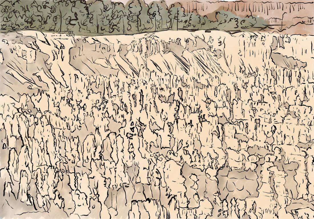 [100 Challenge] Jisook Kim_66