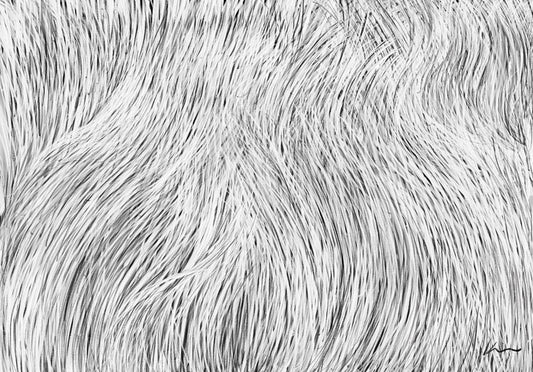 [100 Challenge] Jisook Kim_70