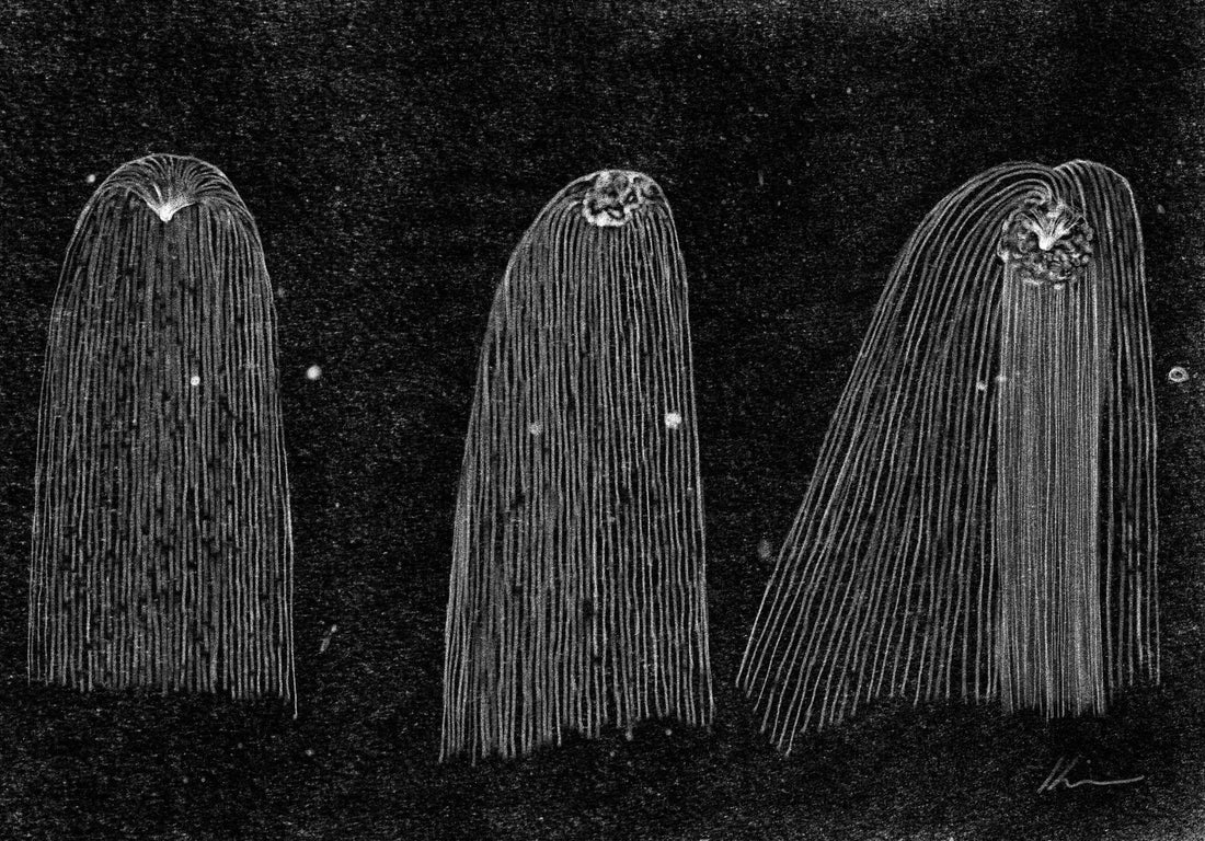 [100 Challenge] Jisook Kim_90