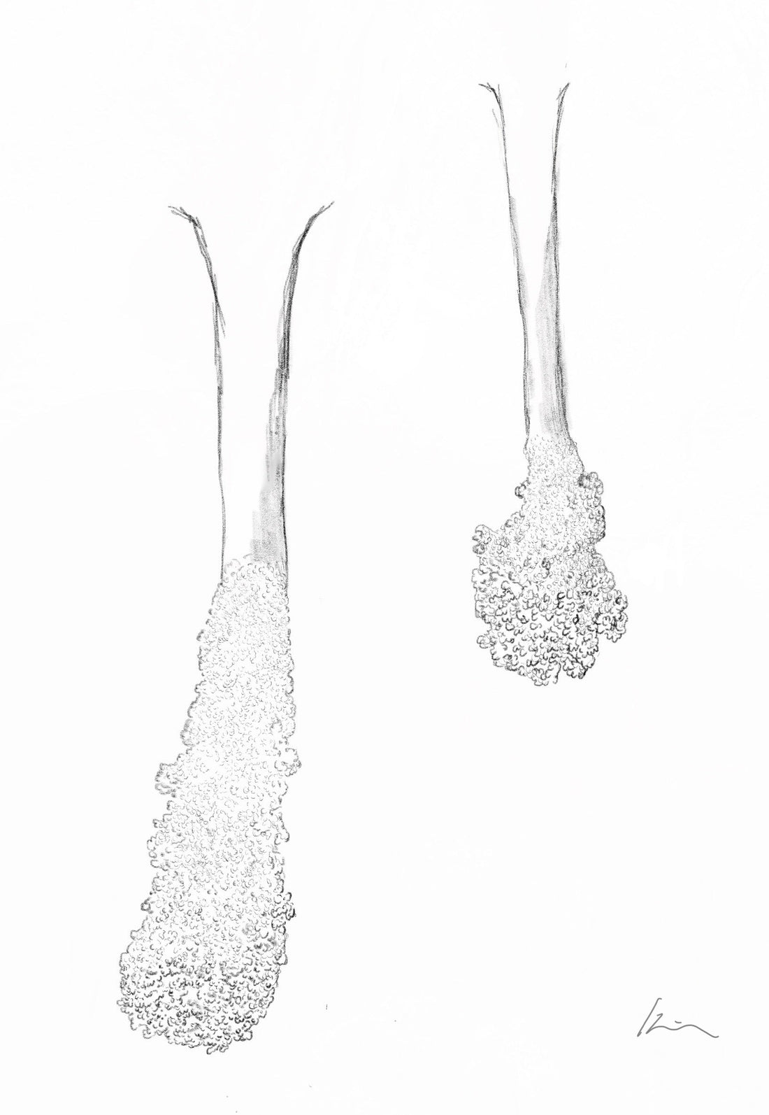 [100 Challenge] Jisook Kim_34