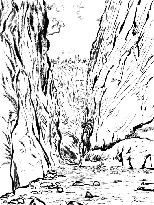 [100 Challenge] Jisook Kim_92