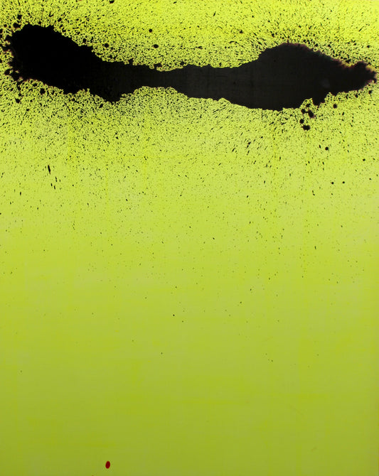 Song E Yoon/ Evolution involution