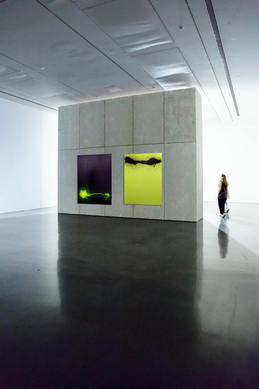 Song E Yoon/ Evolution involtion